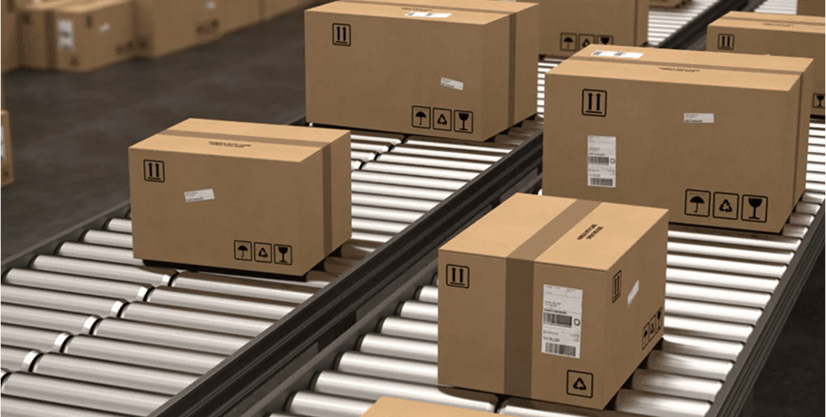 Carton Handling Conveyor 